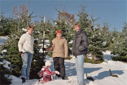 junge Familie beim Christbaumaussuchen